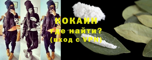 мдпв Осинники
