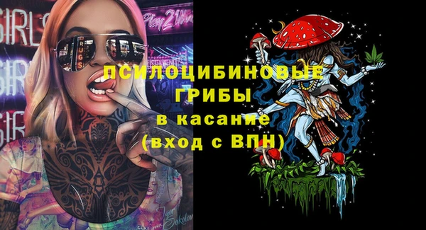 2c-b Абдулино