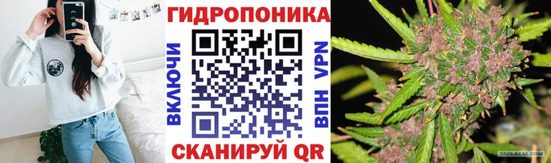 Конопля ГИДРОПОН  закладки  Ливны 